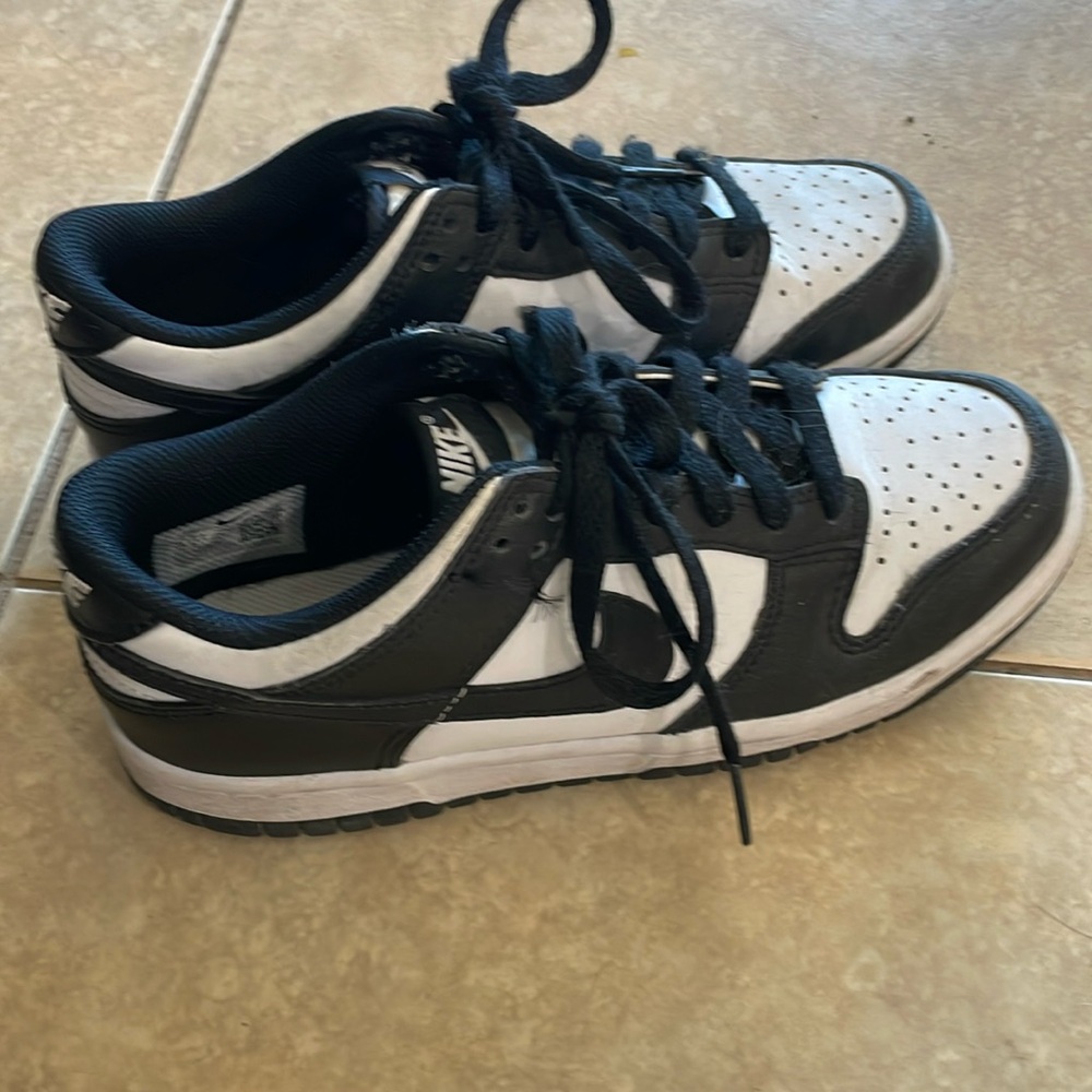 Nike Dunk Low Sneakers